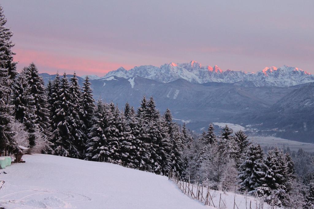 Naturgut Gailtal Sankt Stefan an der Gail Exterior foto