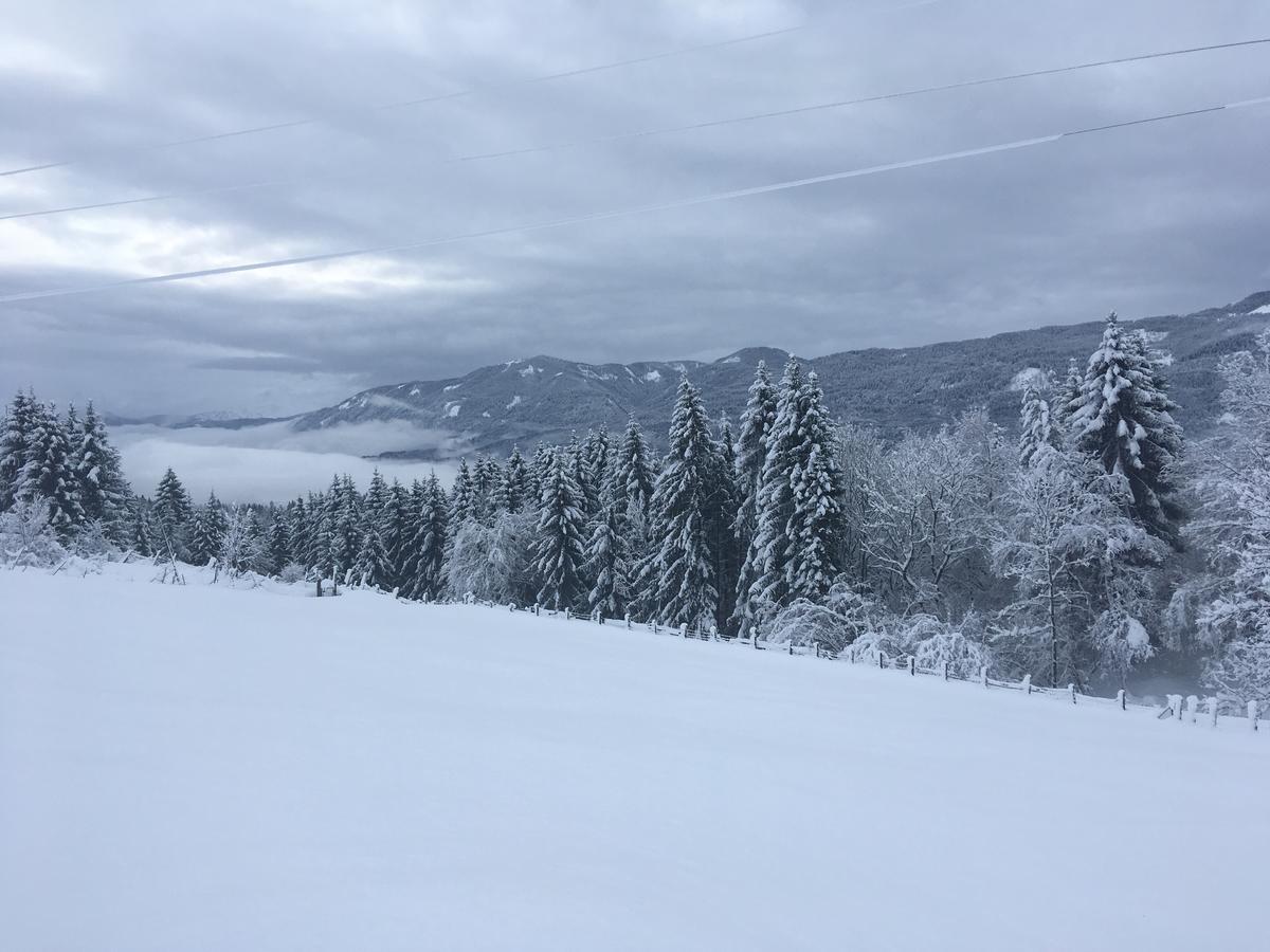 Naturgut Gailtal Sankt Stefan an der Gail Exterior foto